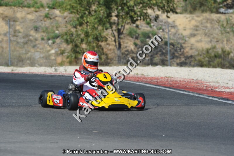 DSC_8382.JPG