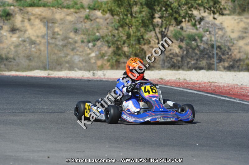 DSC_8390.JPG