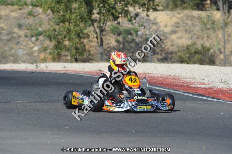 DSC_8391.JPG