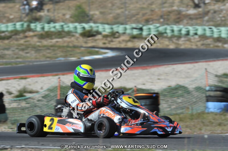DSC_8433.JPG