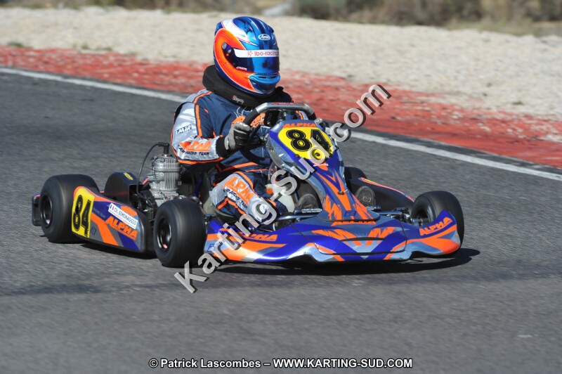 DSC_8462.JPG