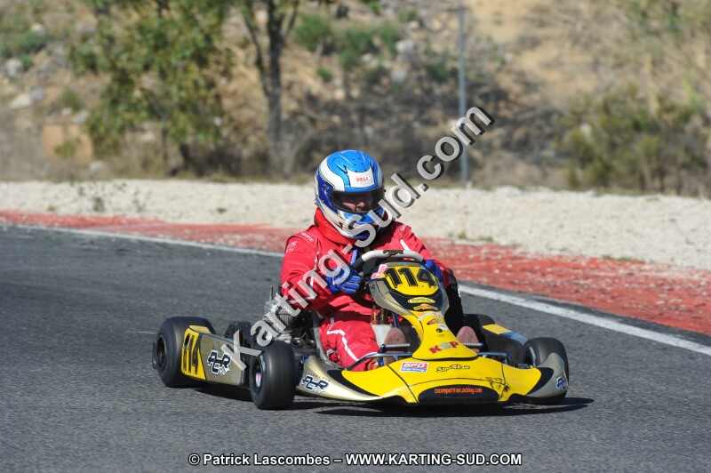 DSC_8478.JPG
