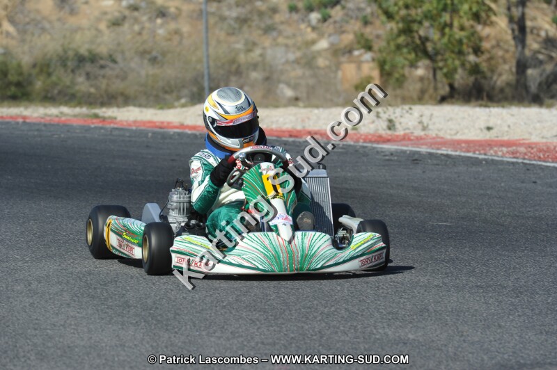 DSC_8487.JPG