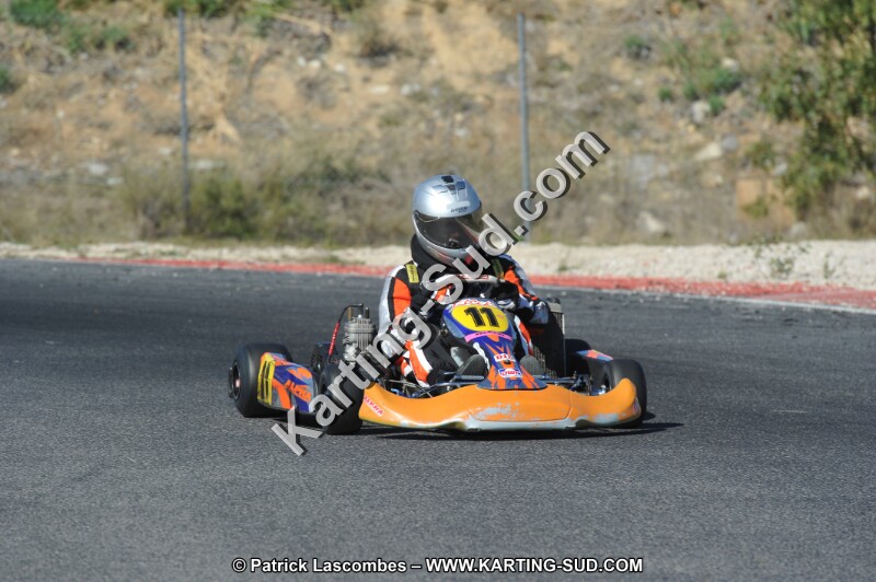 DSC_8517.JPG