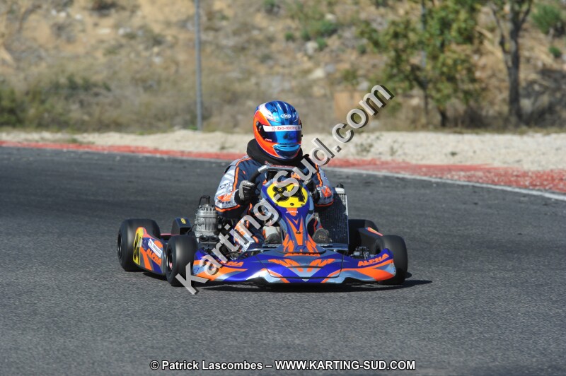 DSC_8519.JPG