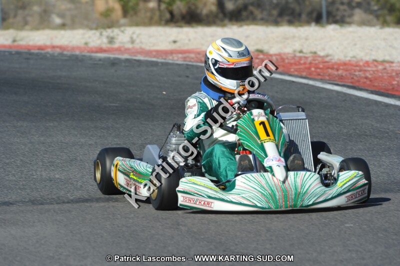 DSC_8529.JPG