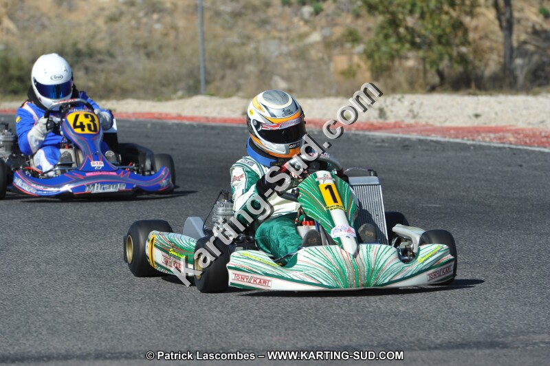 DSC_8535.JPG