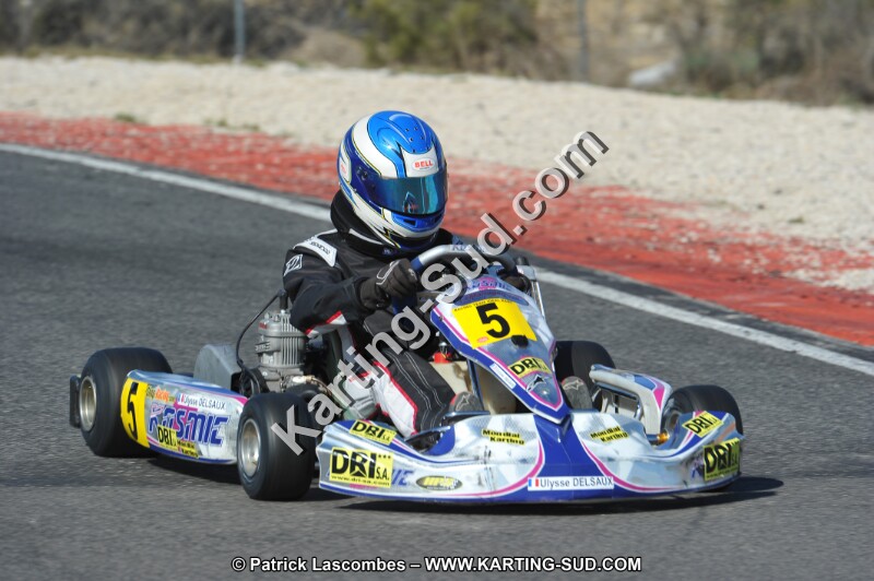 DSC_8568.JPG
