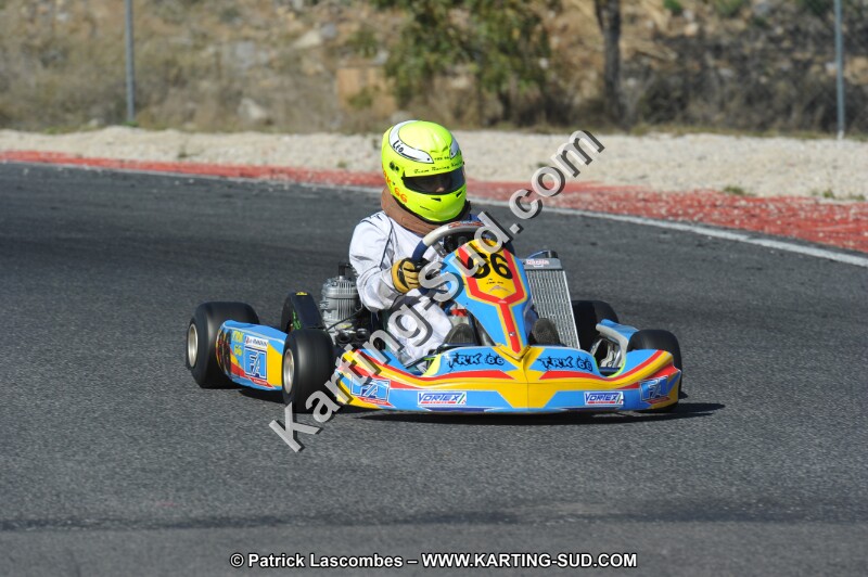 DSC_8585.JPG