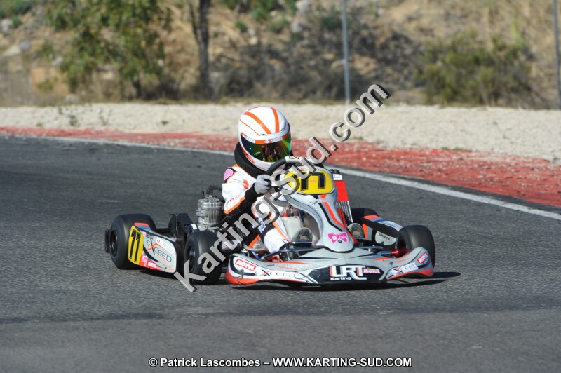 DSC_8617.JPG