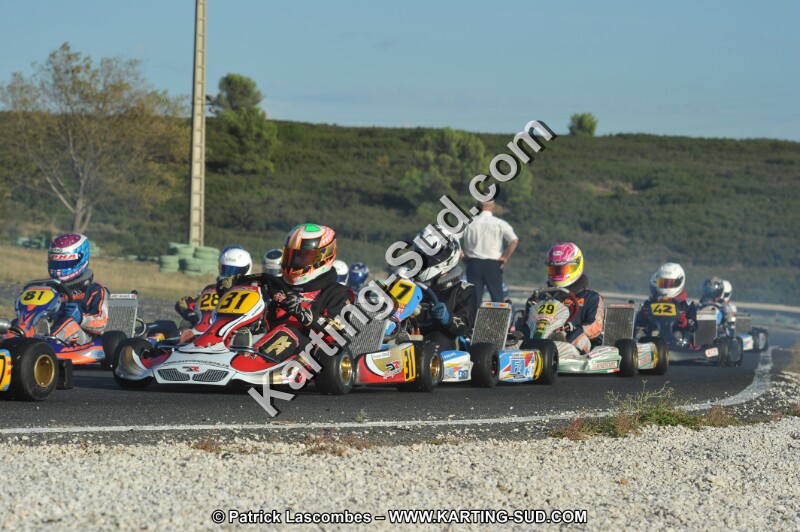DSC_8654.JPG