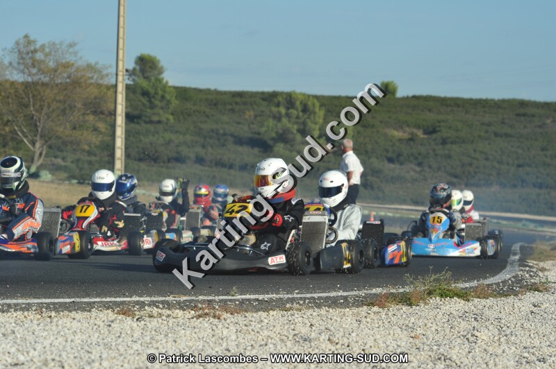 DSC_8655.JPG