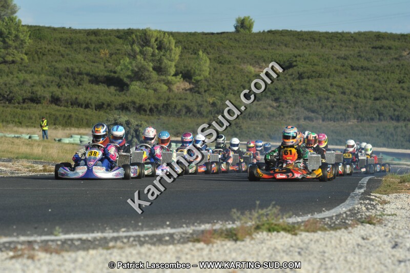 DSC_8660.JPG