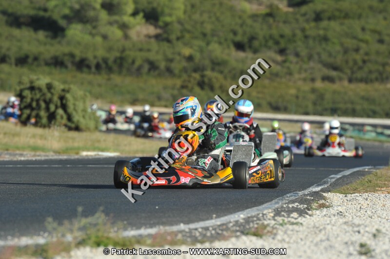 DSC_8674.JPG