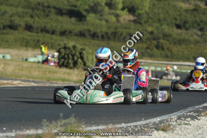 DSC_8684.JPG