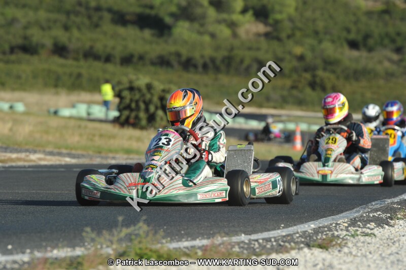 DSC_8688.JPG