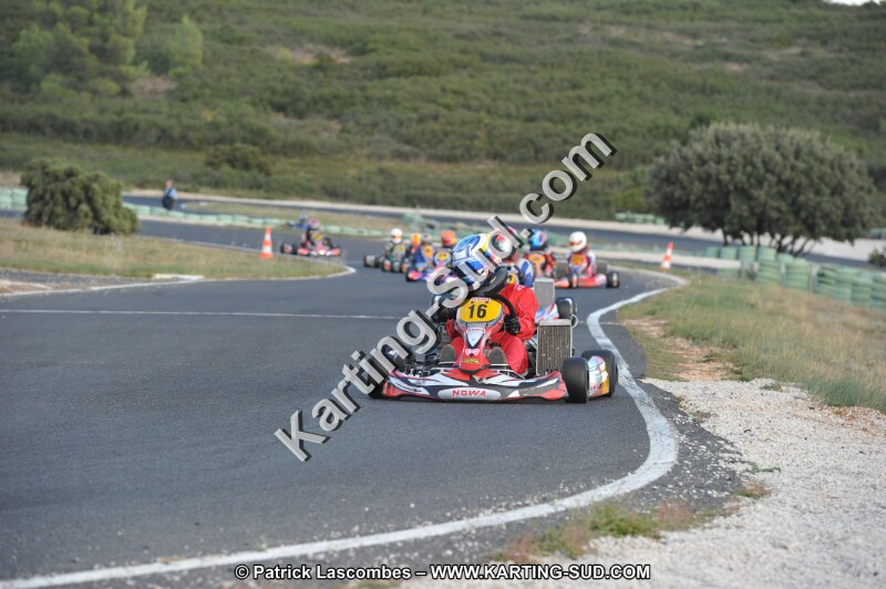 DSC_8740.JPG