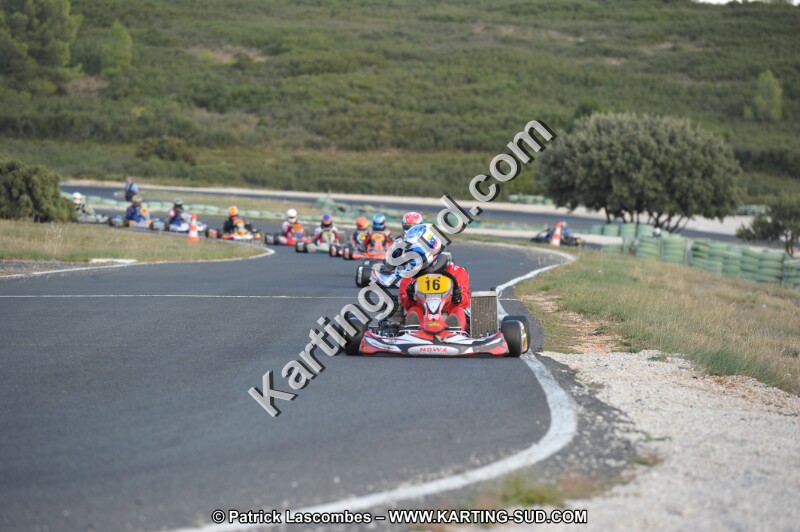 DSC_8747.JPG