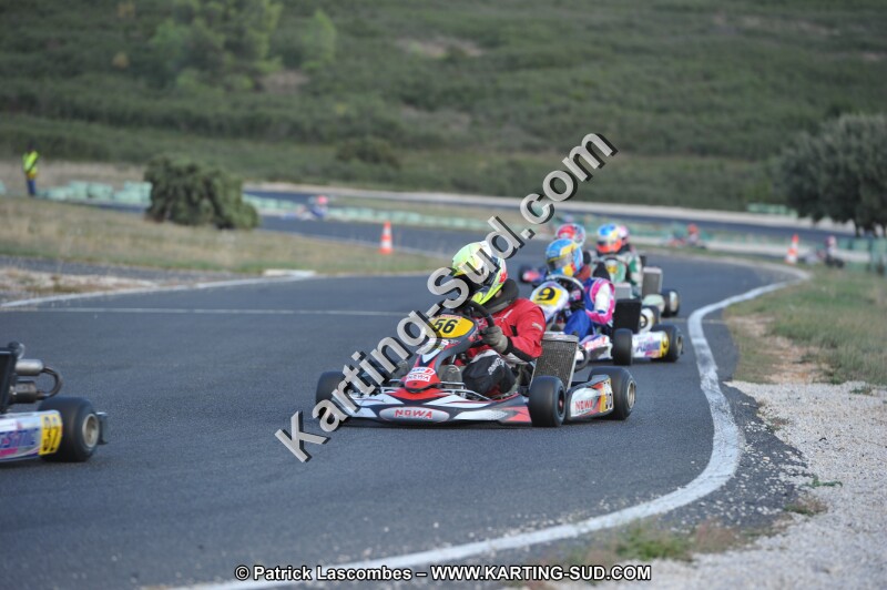 DSC_8782.JPG