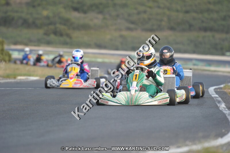 DSC_8809.JPG