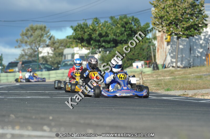 DSC_8867.JPG