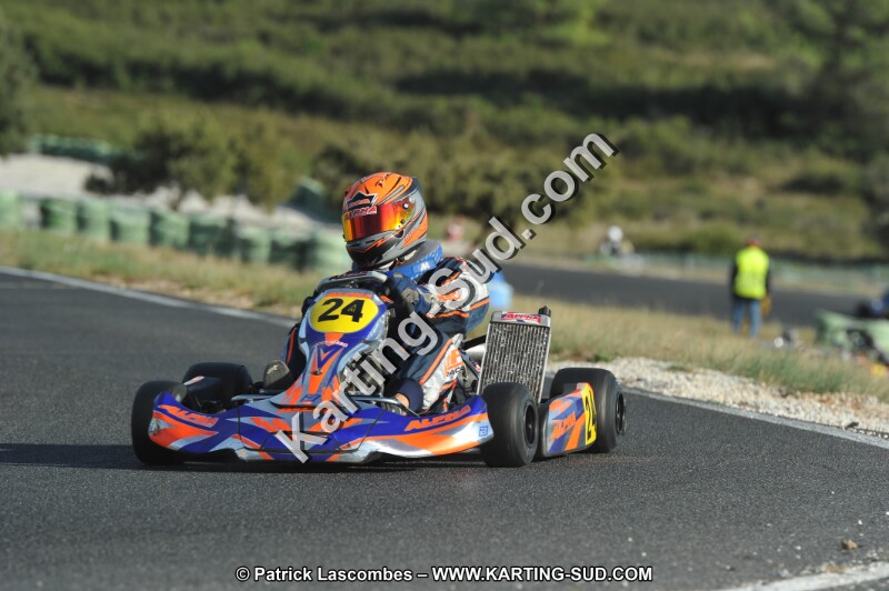 DSC_9235.JPG