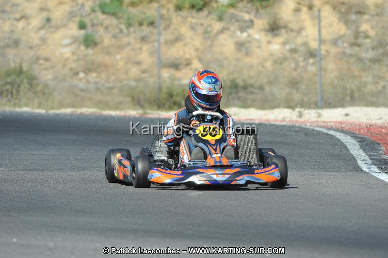 DSC_0233.JPG