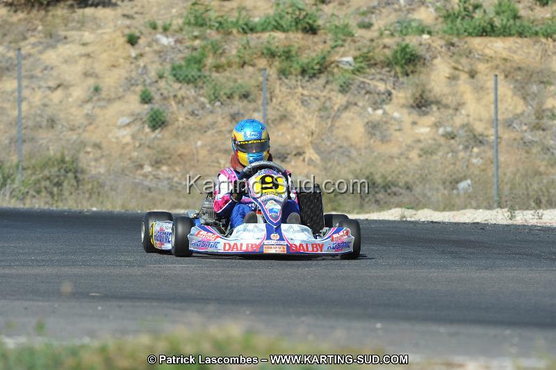 DSC_0298.JPG