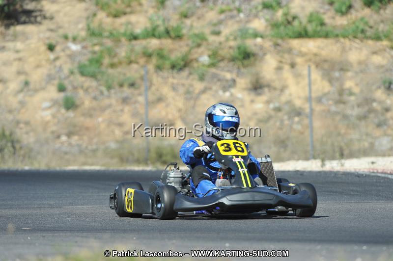 DSC_0338.JPG