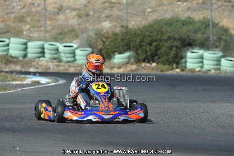 DSC_0433.JPG