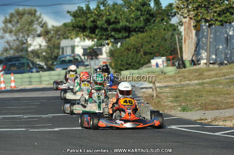 DSC_1184.JPG