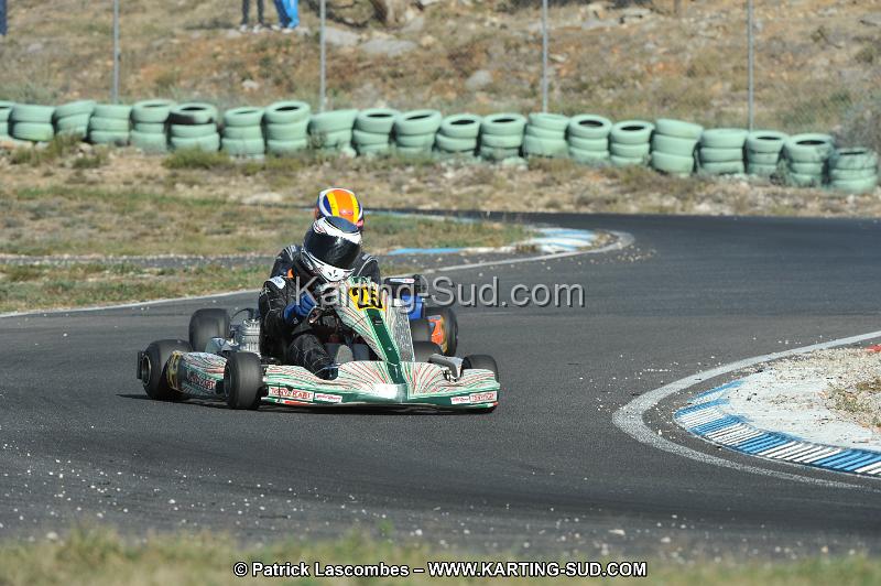DSC_1516.JPG