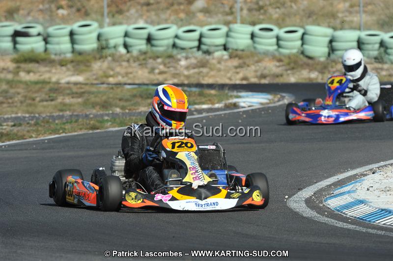 DSC_1610.JPG
