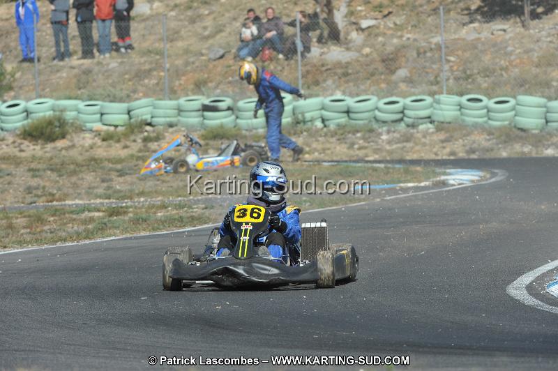 DSC_1923.JPG