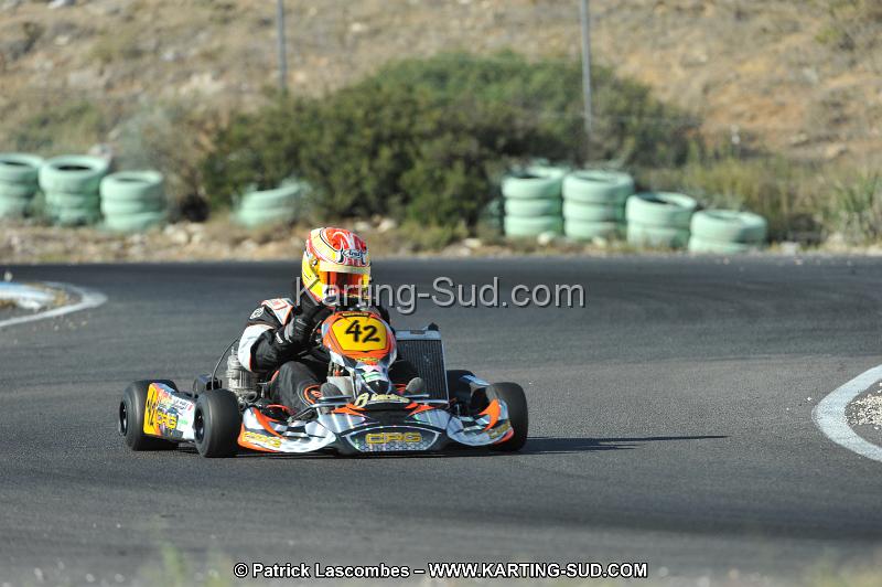 DSC_3119.JPG