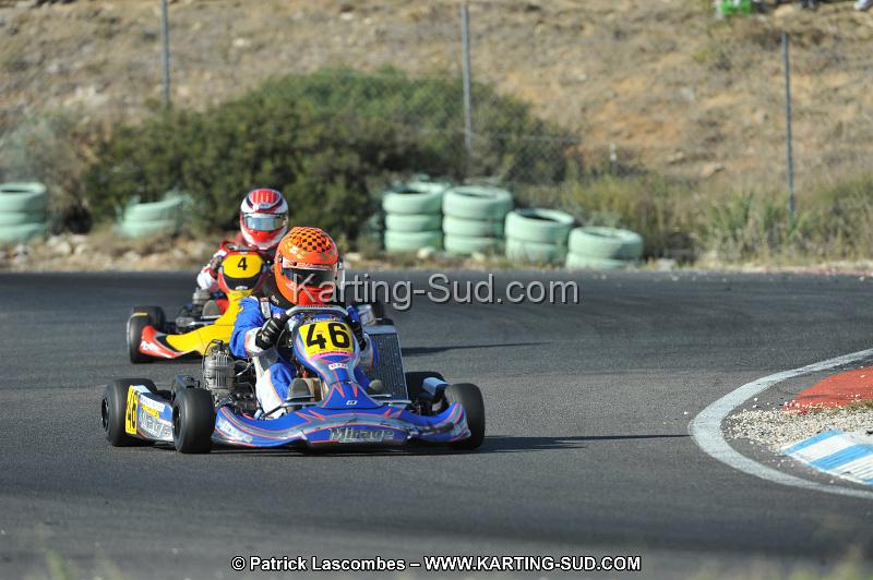 DSC_3129.JPG