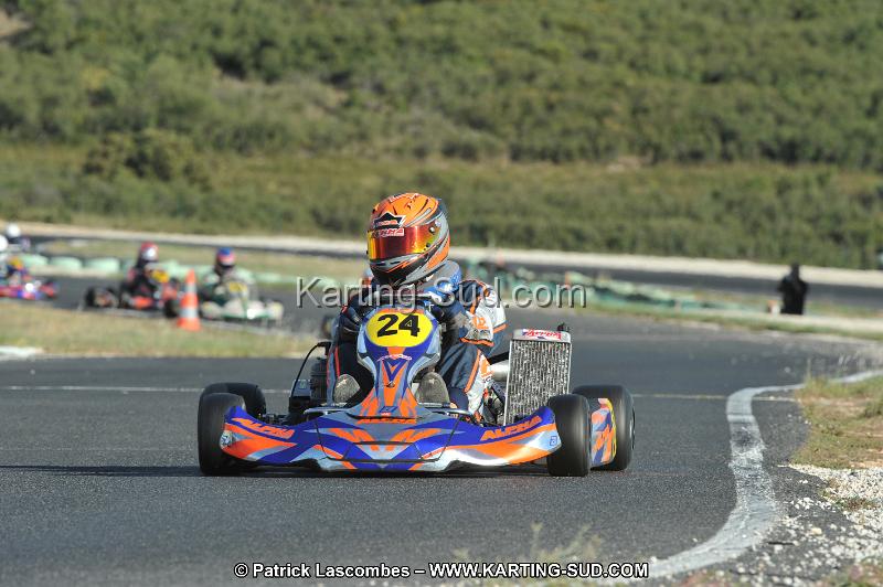 DSC_3201.JPG