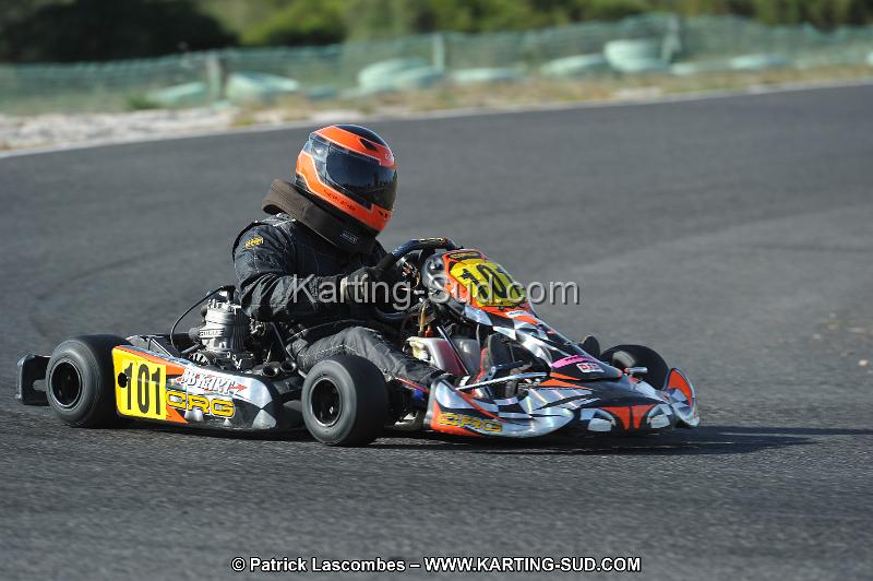 DSC_8218.JPG