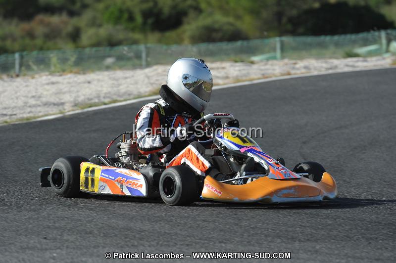 DSC_8223.JPG