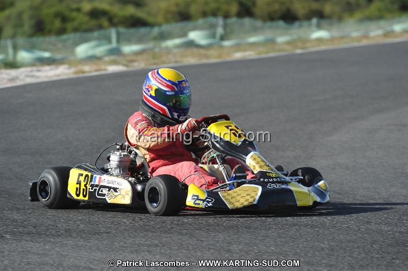 DSC_8247.JPG