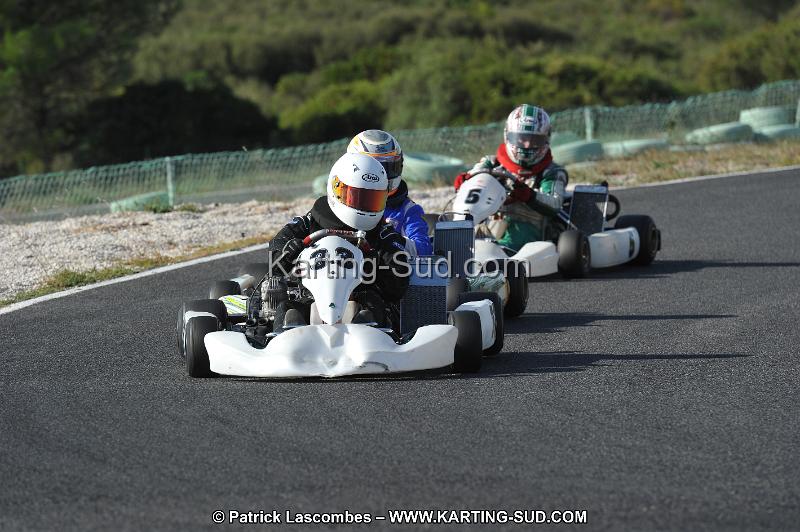 DSC_8255.JPG