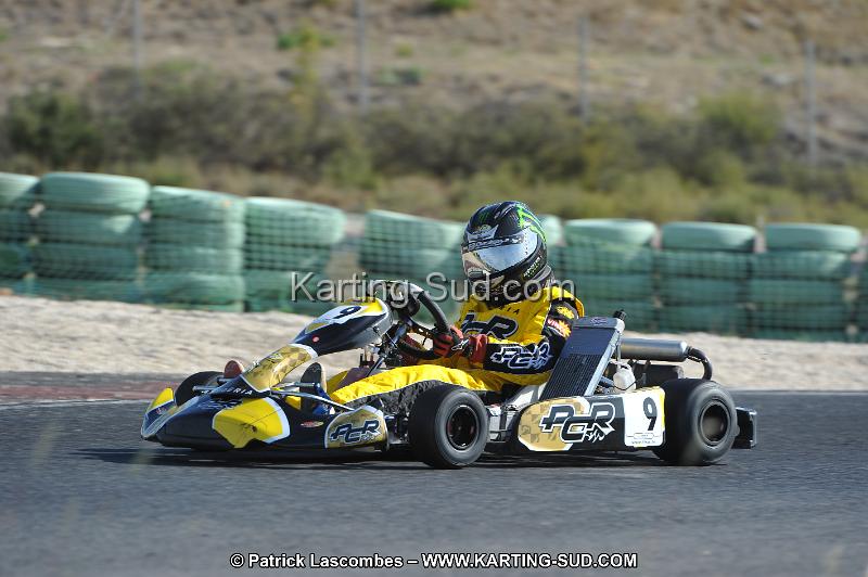 DSC_8269.JPG