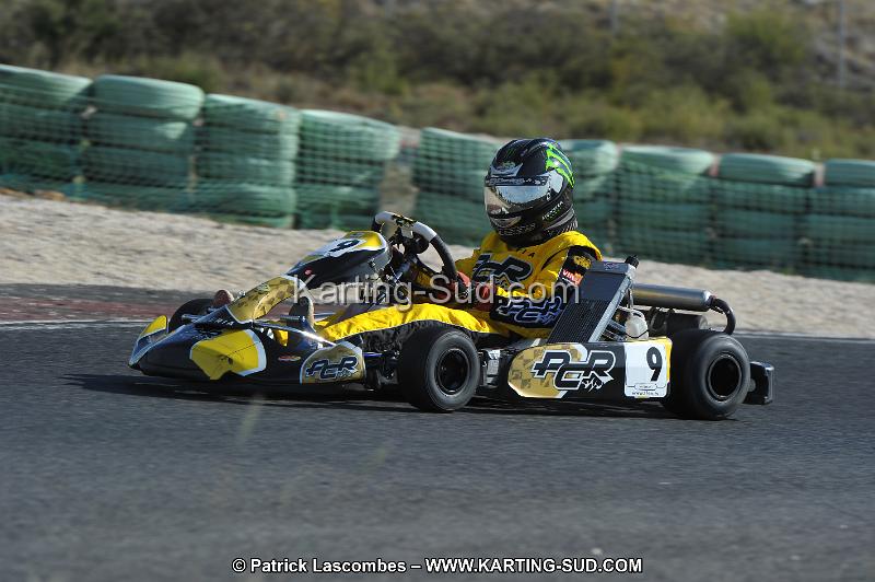 DSC_8276.JPG