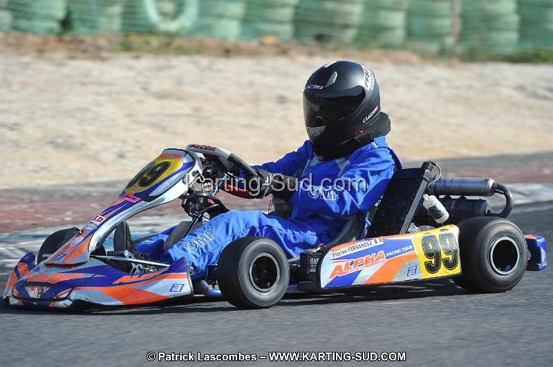 DSC_8283.JPG