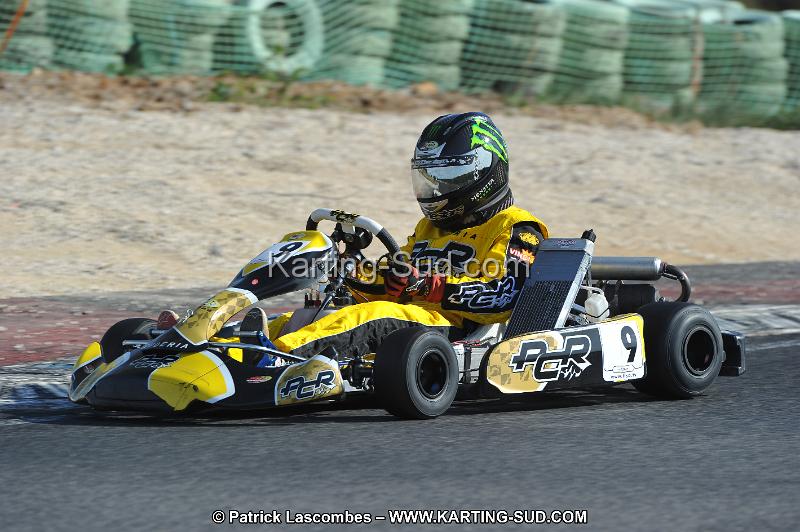 DSC_8284.JPG