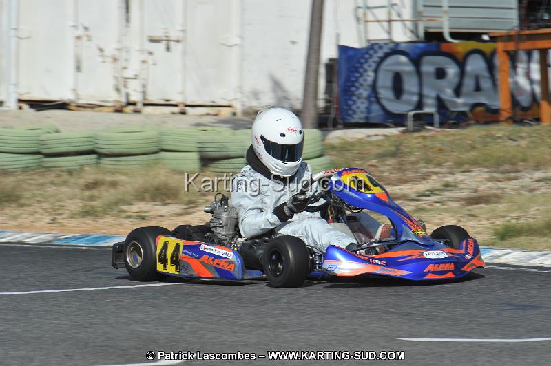 DSC_8319.JPG