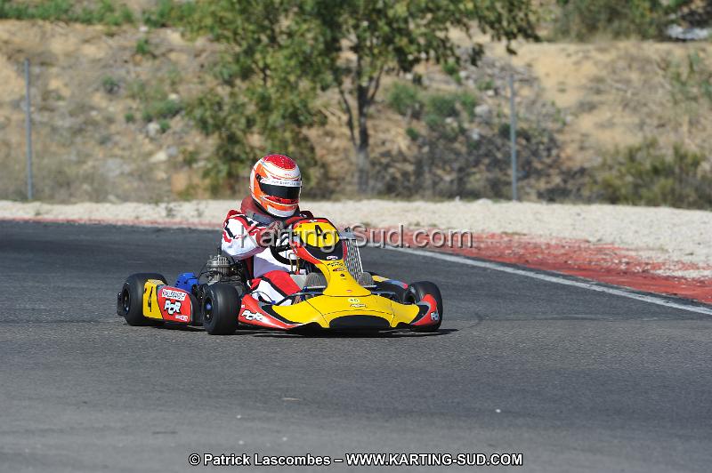 DSC_8382.JPG