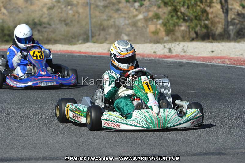 DSC_8535.JPG