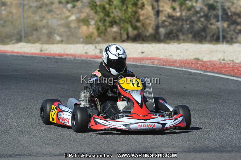 DSC_8537.JPG