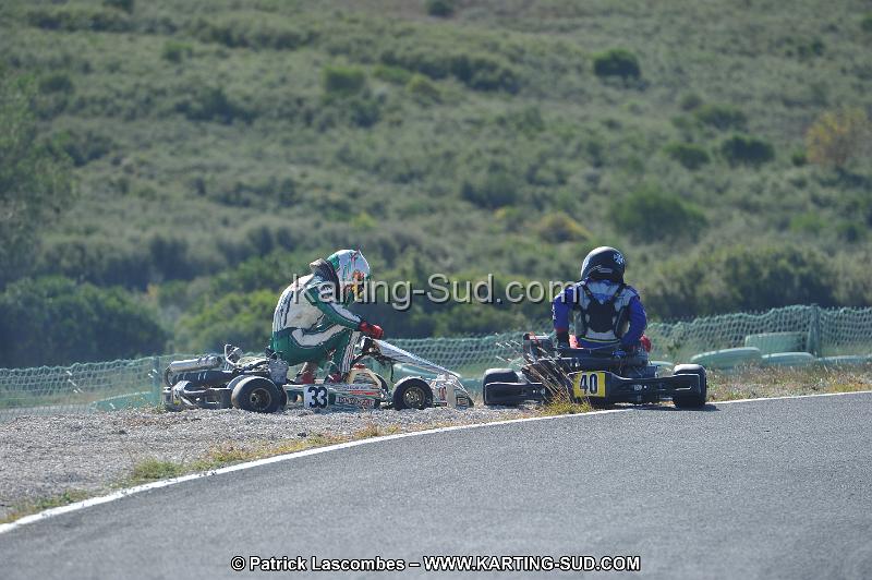 DSC_8549.JPG